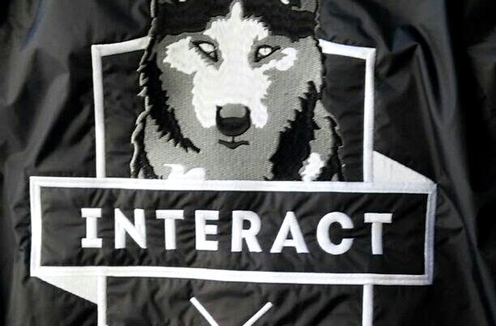 A jacket back with a large embroidered wolf design
